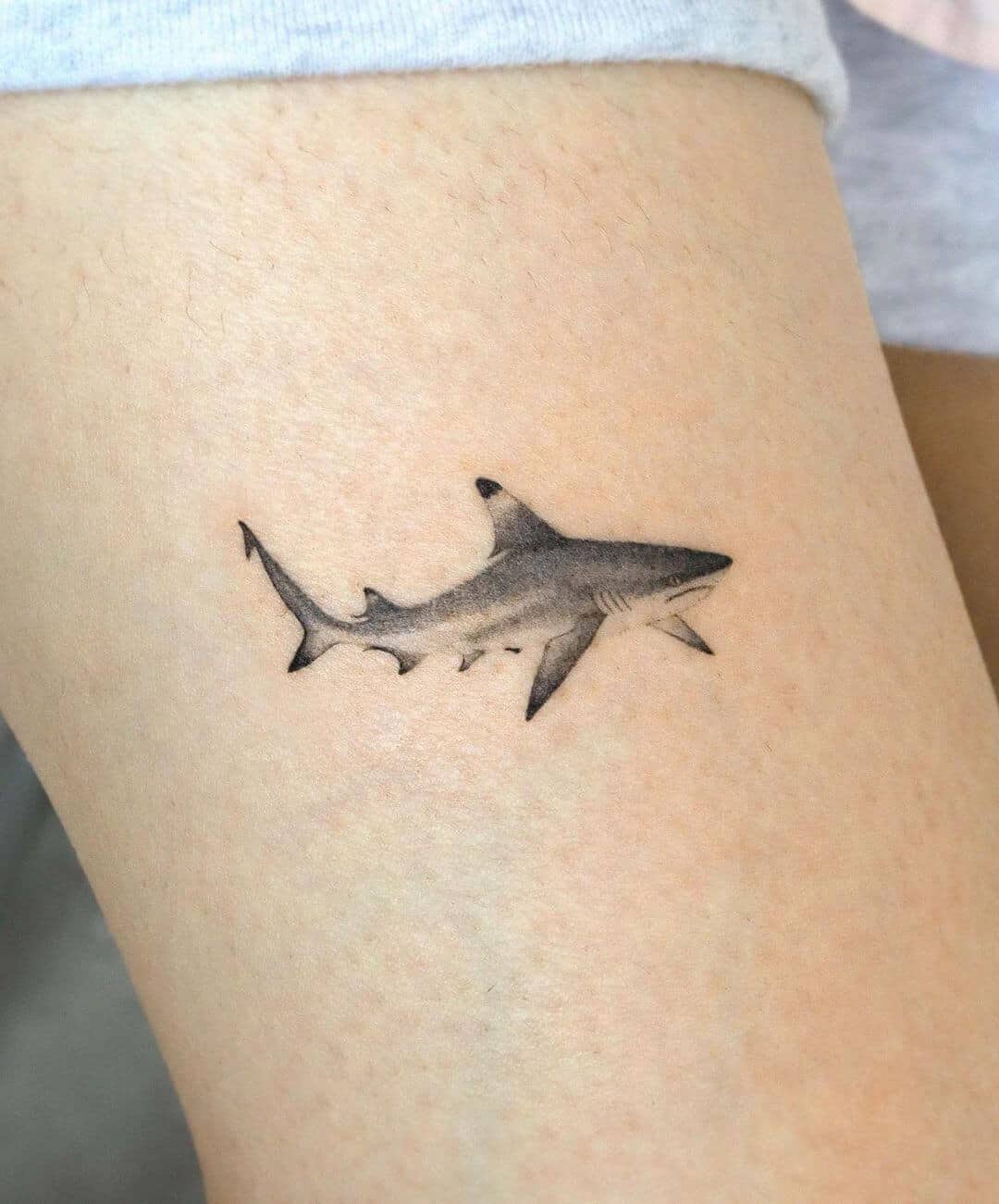 9 Popular Shark Tattoo Designs And Meaning  Styles At Life