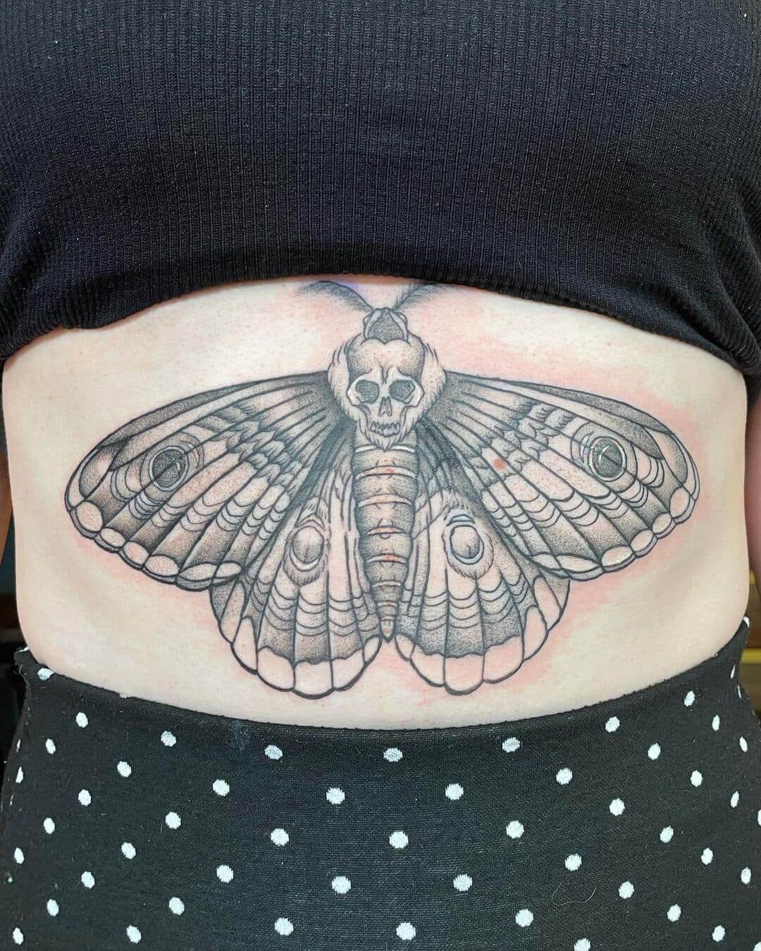 Sketch work moth tattoo on the stomach healed