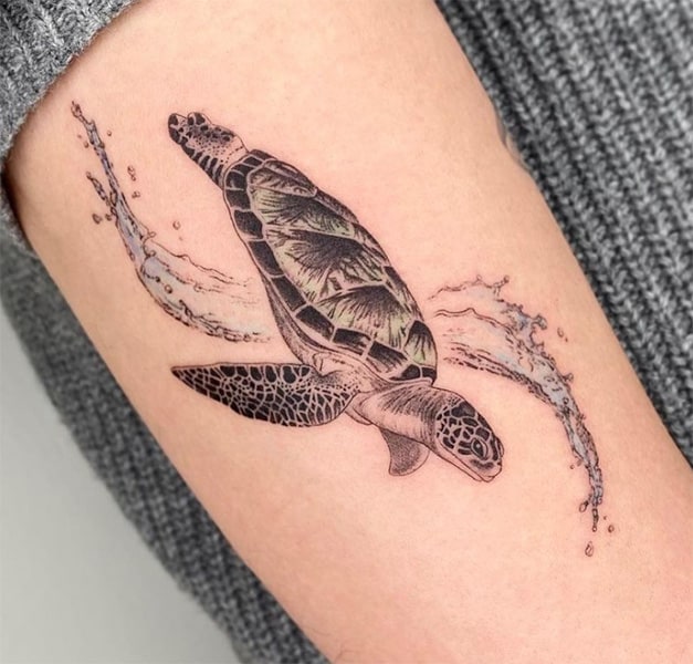 Black ink turtle tattoo on arm