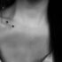 150 Most Realistic Lion Tattoos & Their Meanings